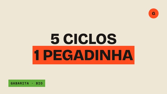 Thumbnail da aula de Biologia sobre ciclos biogeoquímicos